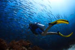 Why Getting Your Dive Gear Serviced Matters