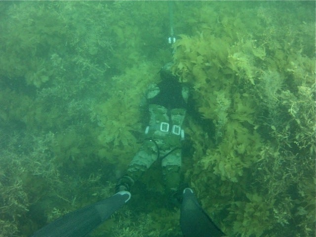 ROB ALLEN SCORPIA 5MM WETSUIT