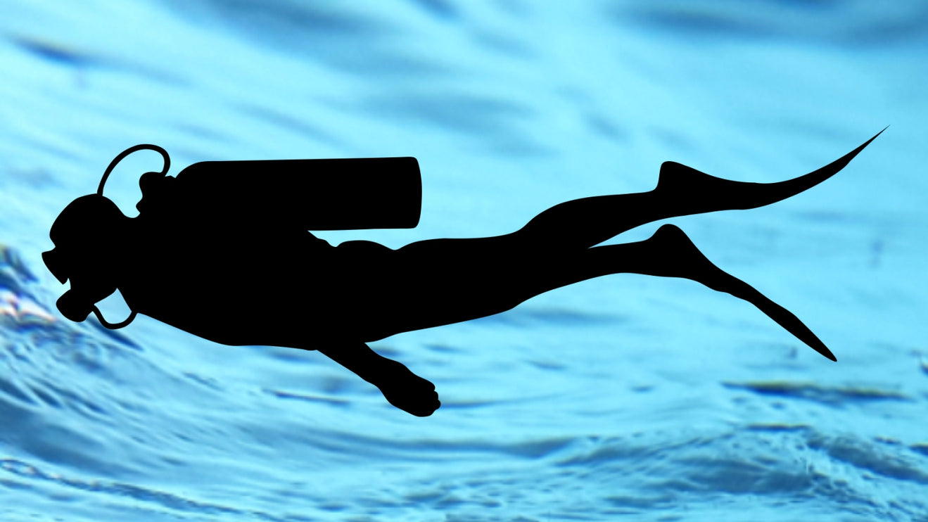 Atlantis Spring fin strap