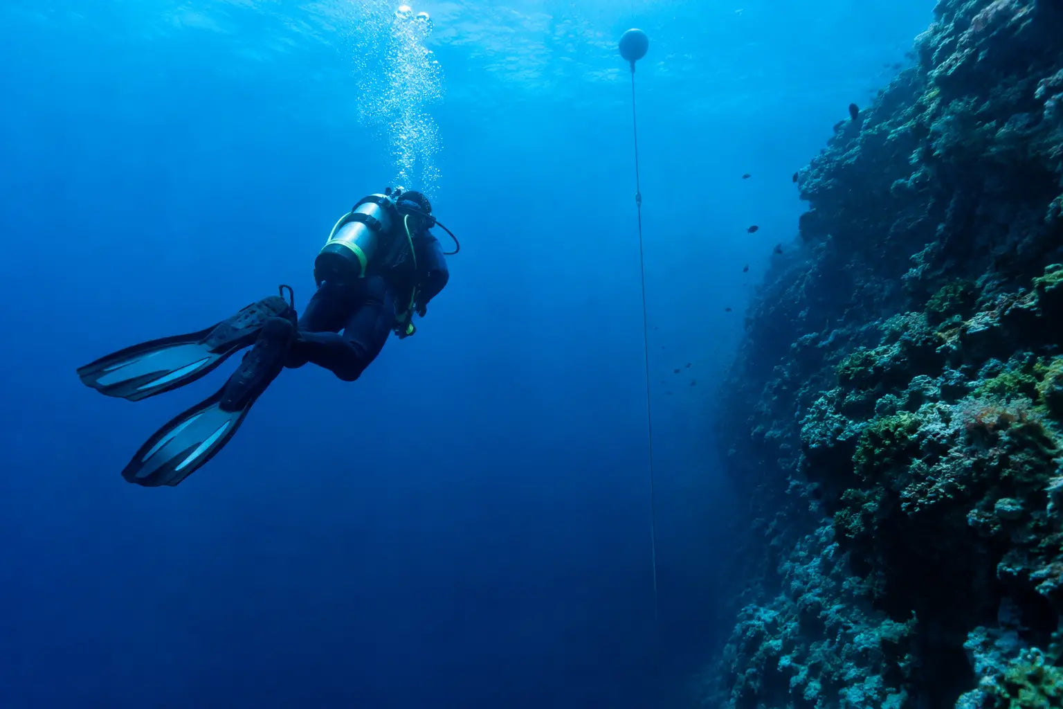 Recreational Diving Limit: Why 40 Metres Matters
