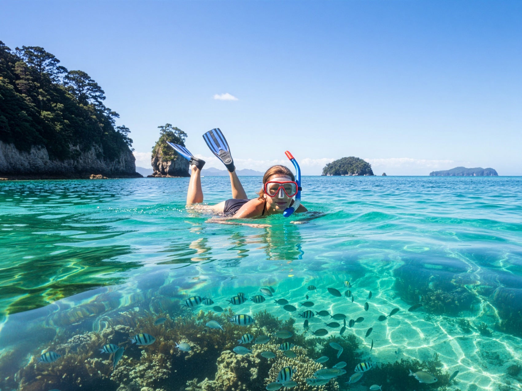 Snorkelling in NZ: What Beginners Should Know About Gear, Safety & Local Conditions?