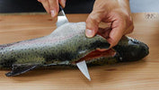 🔪 How to Fillet a Fish – Step-by-Step Guide