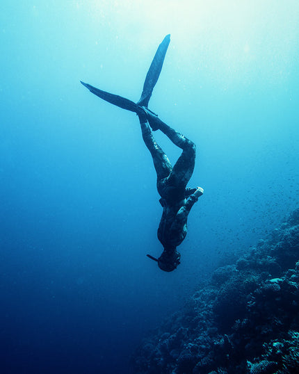 Collection image for: Free Diving