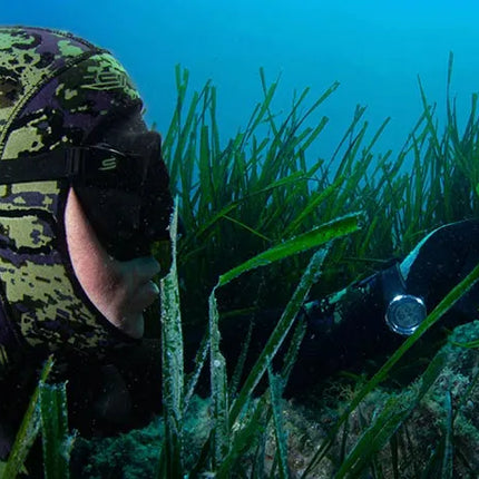 Collection image for: Salvimar Dive Gear at NZDiver