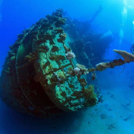 Coron Philippines Dive Trip 2027 – Philippines Dive Holiday with NZDiver