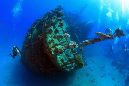 Coron Philippines Dive Trip 2027 – Philippines Dive Holiday with NZDiver