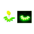 Glow Green