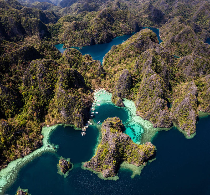 Coron Philippines Dive Trip 2027 – Philippines Dive Holiday with NZDiver