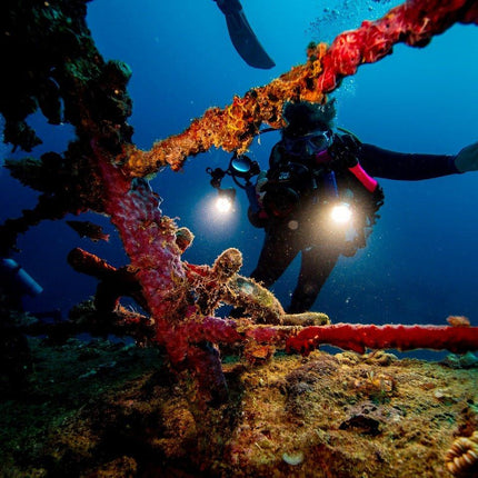 Coron Philippines Dive Trip 2027 – Philippines Dive Holiday with NZDiver