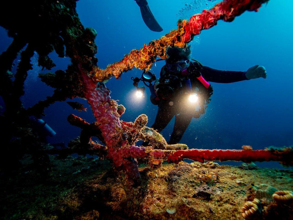 Coron Philippines Dive Trip 2027 – Philippines Dive Holiday with NZDiver