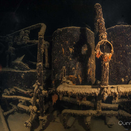 Coron Philippines Dive Trip 2027 – Philippines Dive Holiday with NZDiver