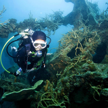 Coron Philippines Dive Trip 2027 – Philippines Dive Holiday with NZDiver