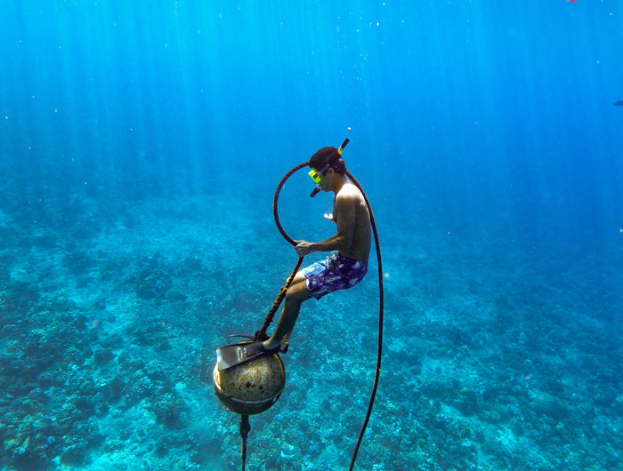 <h2>Why Kiwi Locals Shop With NZ Diver</h2>