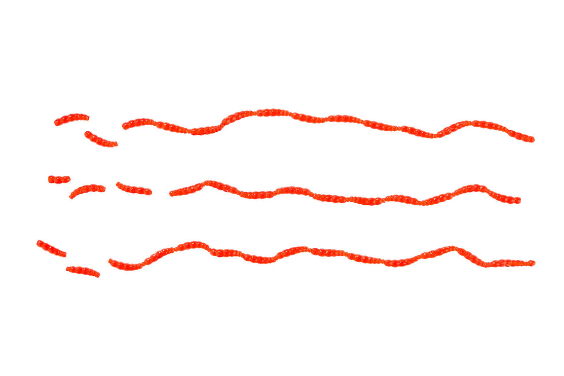 Flavoured Blood Worm Natural