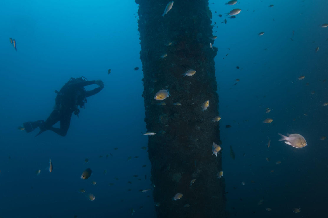 Coron Philippines Dive Trip 2027 – Philippines Dive Holiday with NZDiver