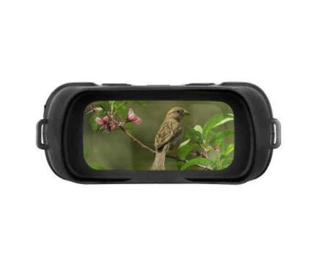 Night Vision Binoculars With Digital Display