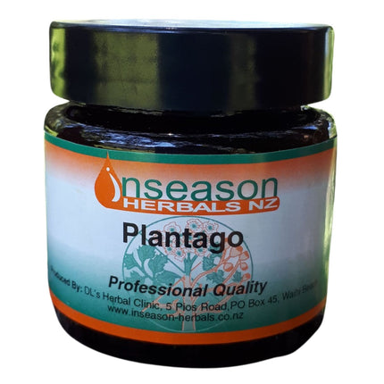 Plantago - Natural Remedy for Insect Bites and Stings