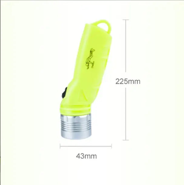 Ecomomy Dive Light