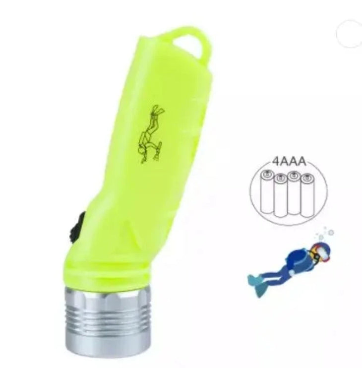 Ecomomy Dive Light