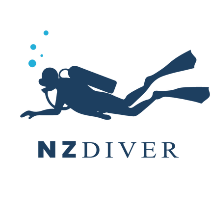 Ball Sinker 6.0oz - 2pc